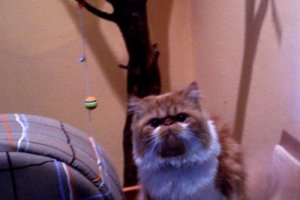 Lili w Waszym hotelu